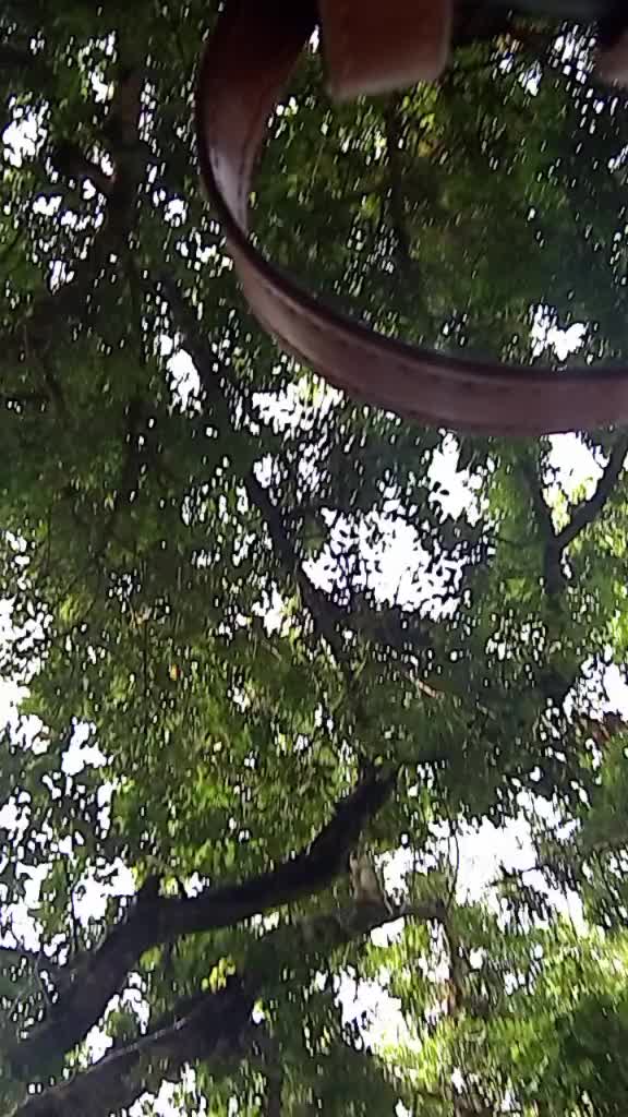 @user20109619900