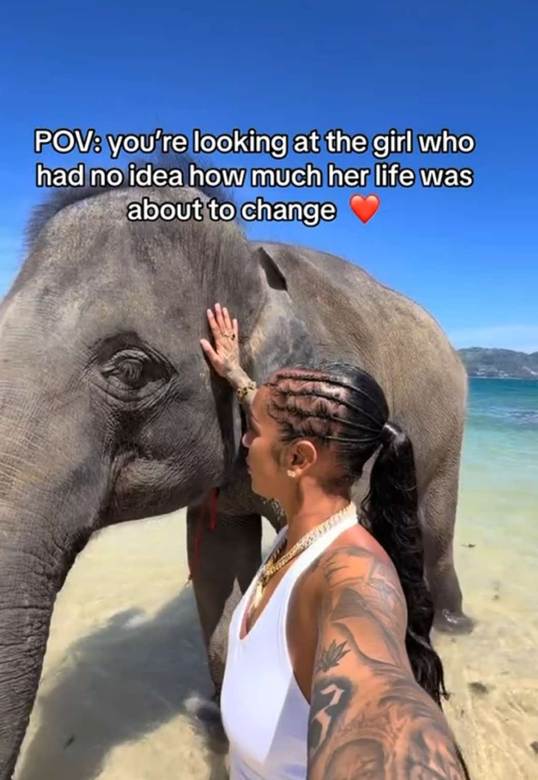 @Paigey Cakey
