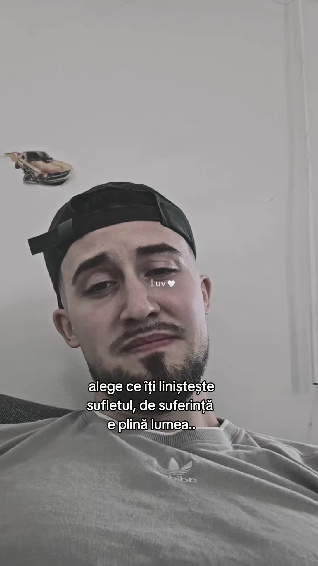 @【17_.marinuș._12】