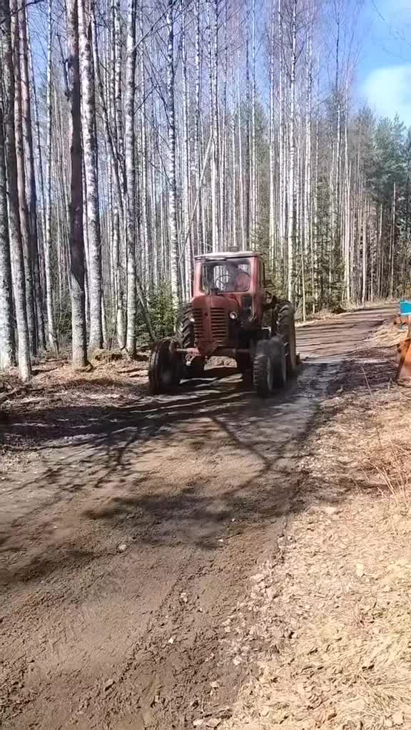 @ForestAndWheels