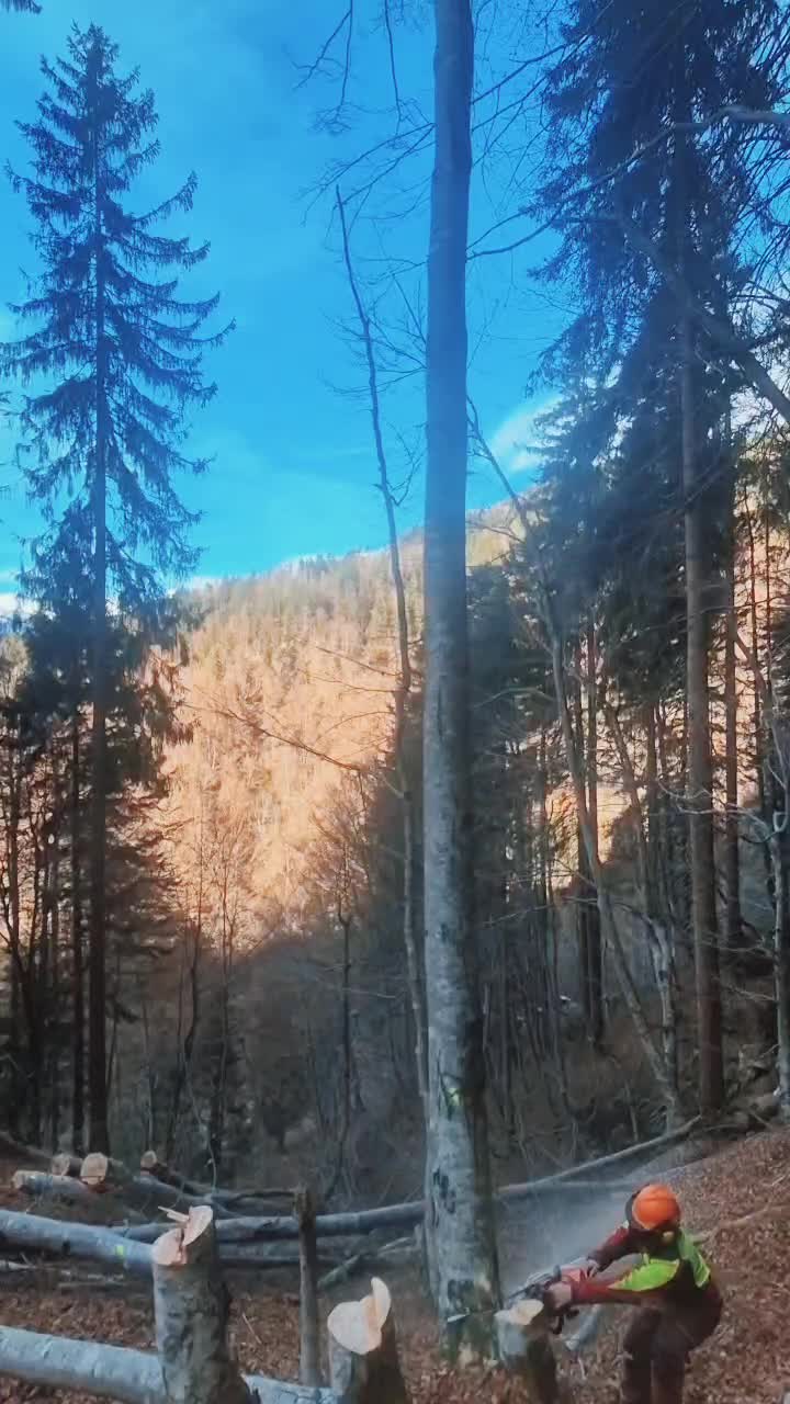 @cäp. Nänduu