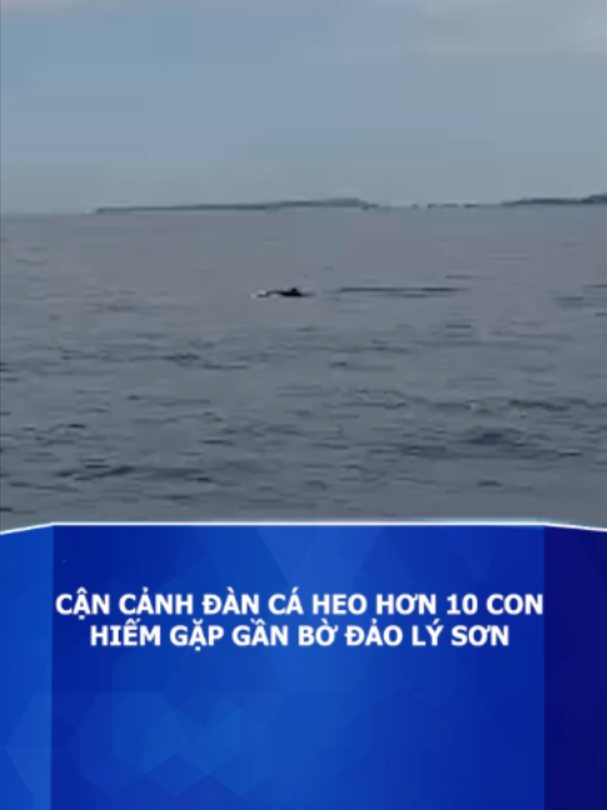 @Báo Tuổi Trẻ