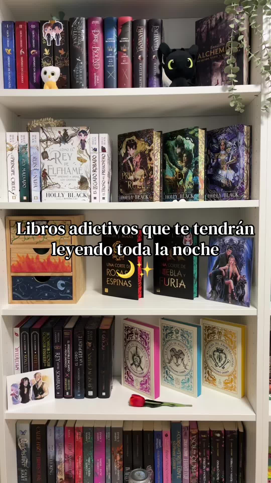 @Thedarkmoonbooks🌙✨
