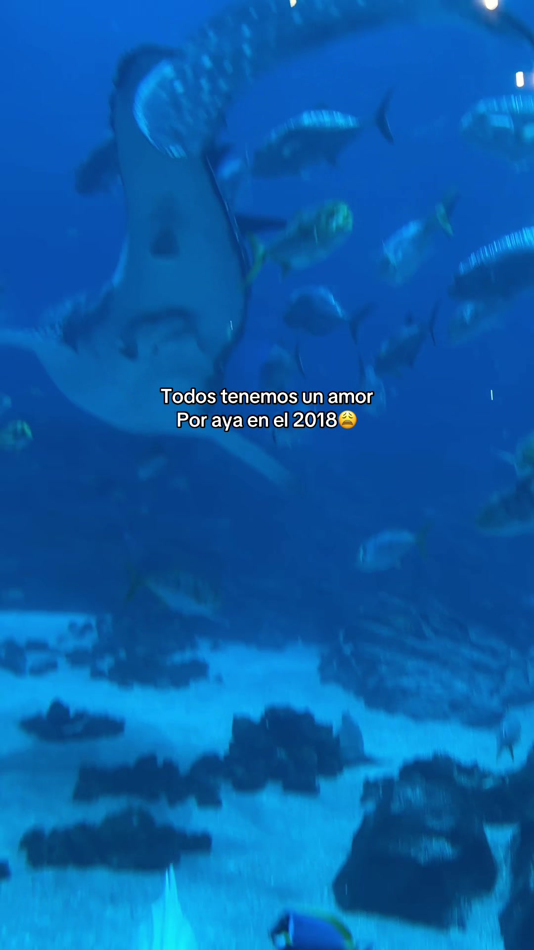 @Dany