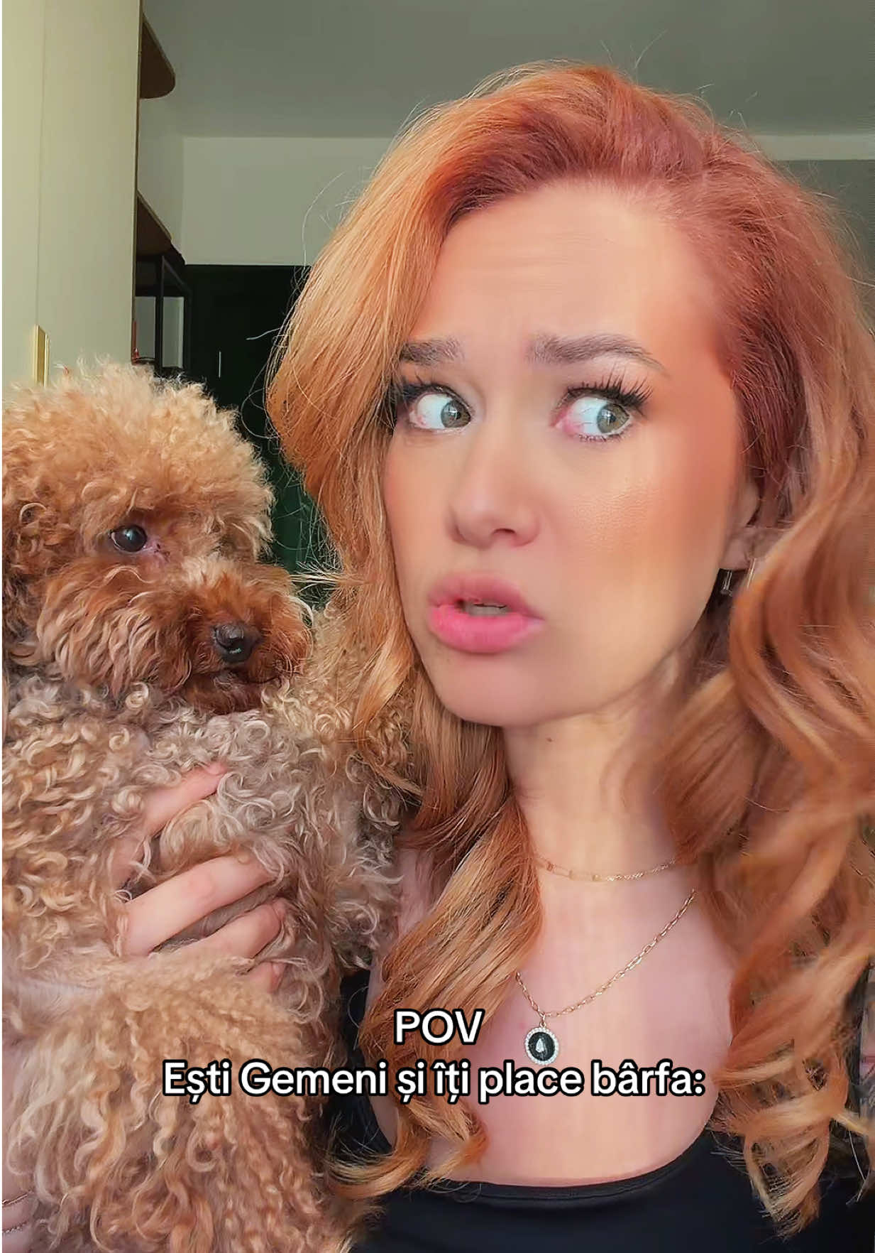 @FELI
