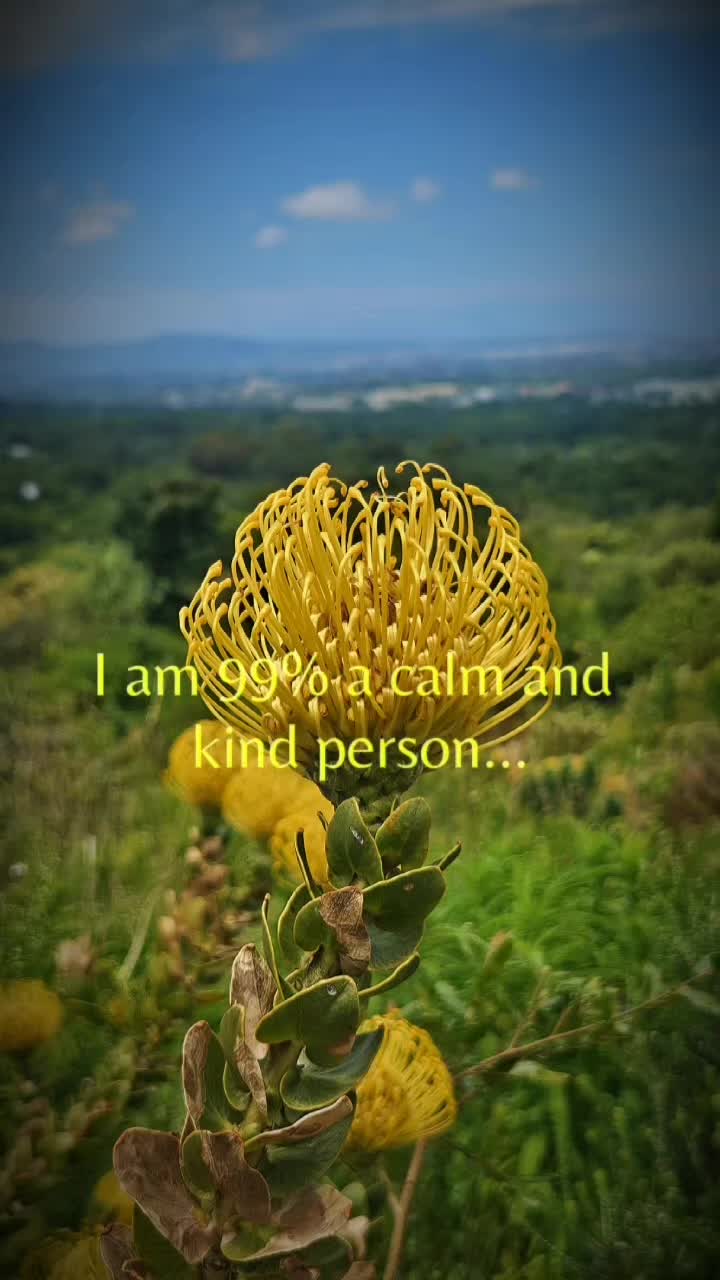 @kina