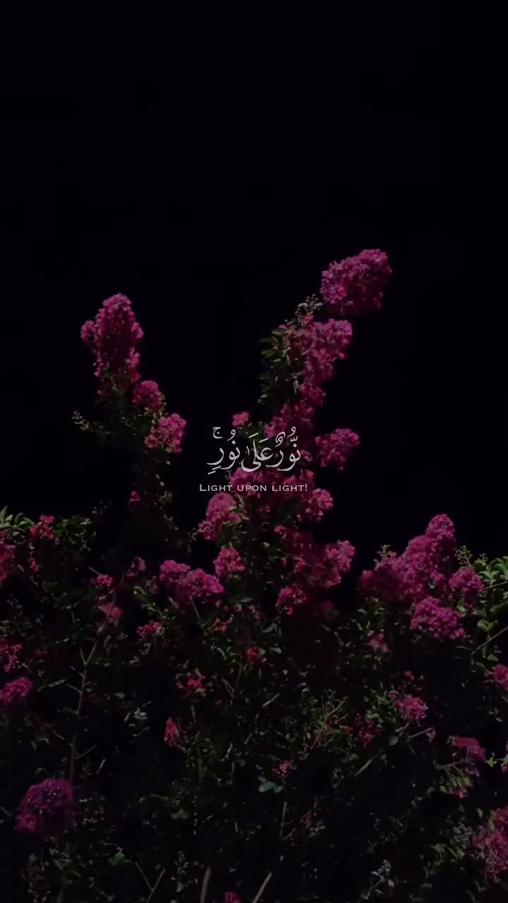 @⍣🦋ريـᬼـمـاᬼَّس