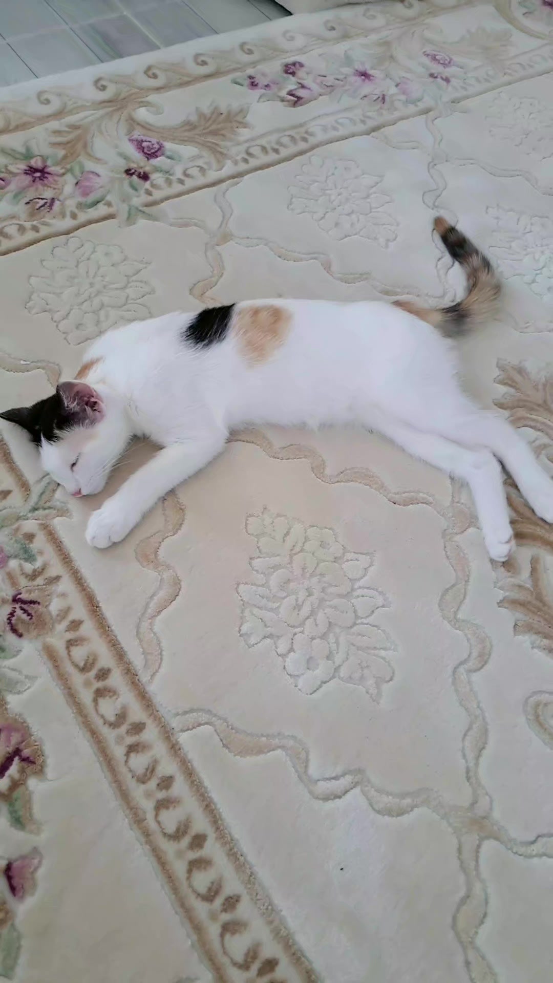 @ELAZIĞ BAYAN Kuvaförü