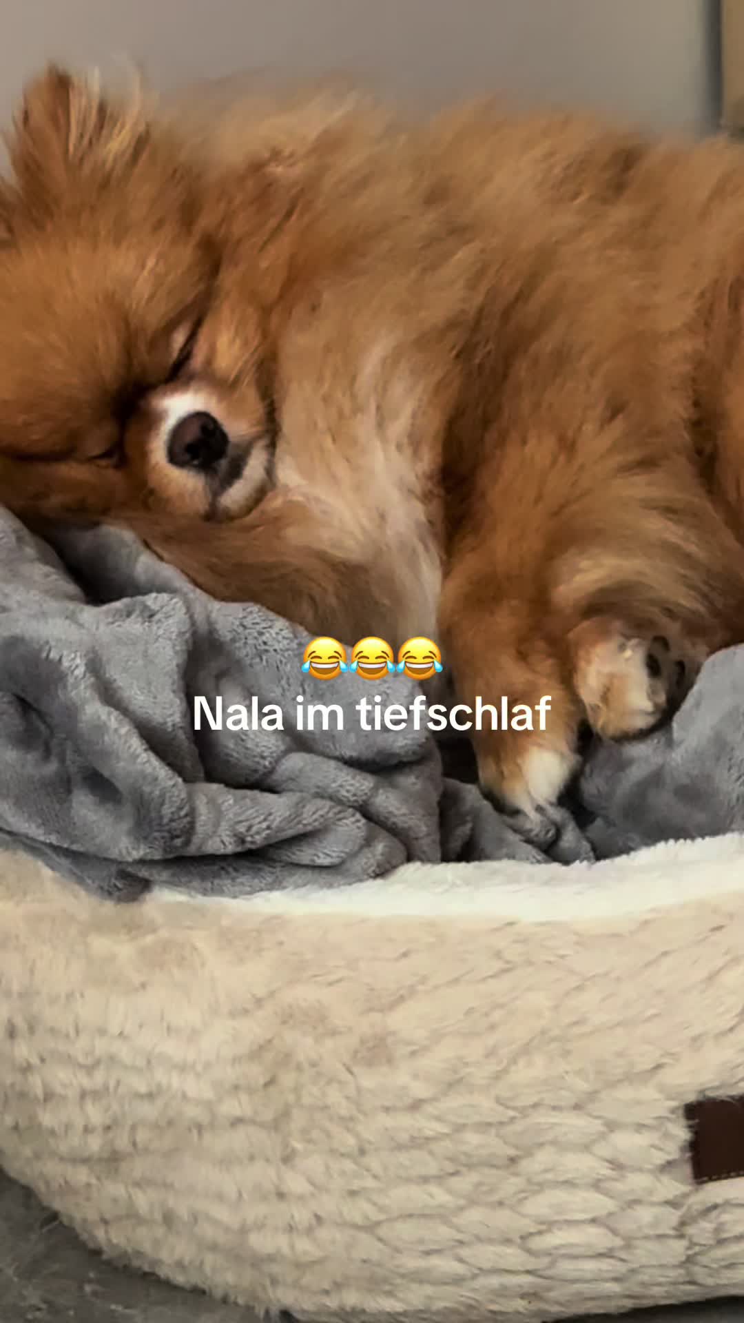 @Angelika🇷🇺