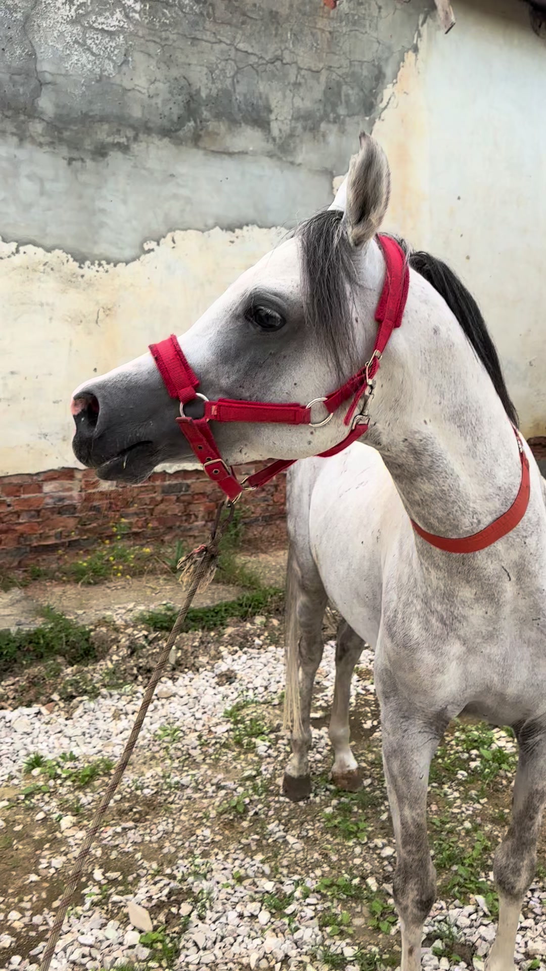 @MakvinStud