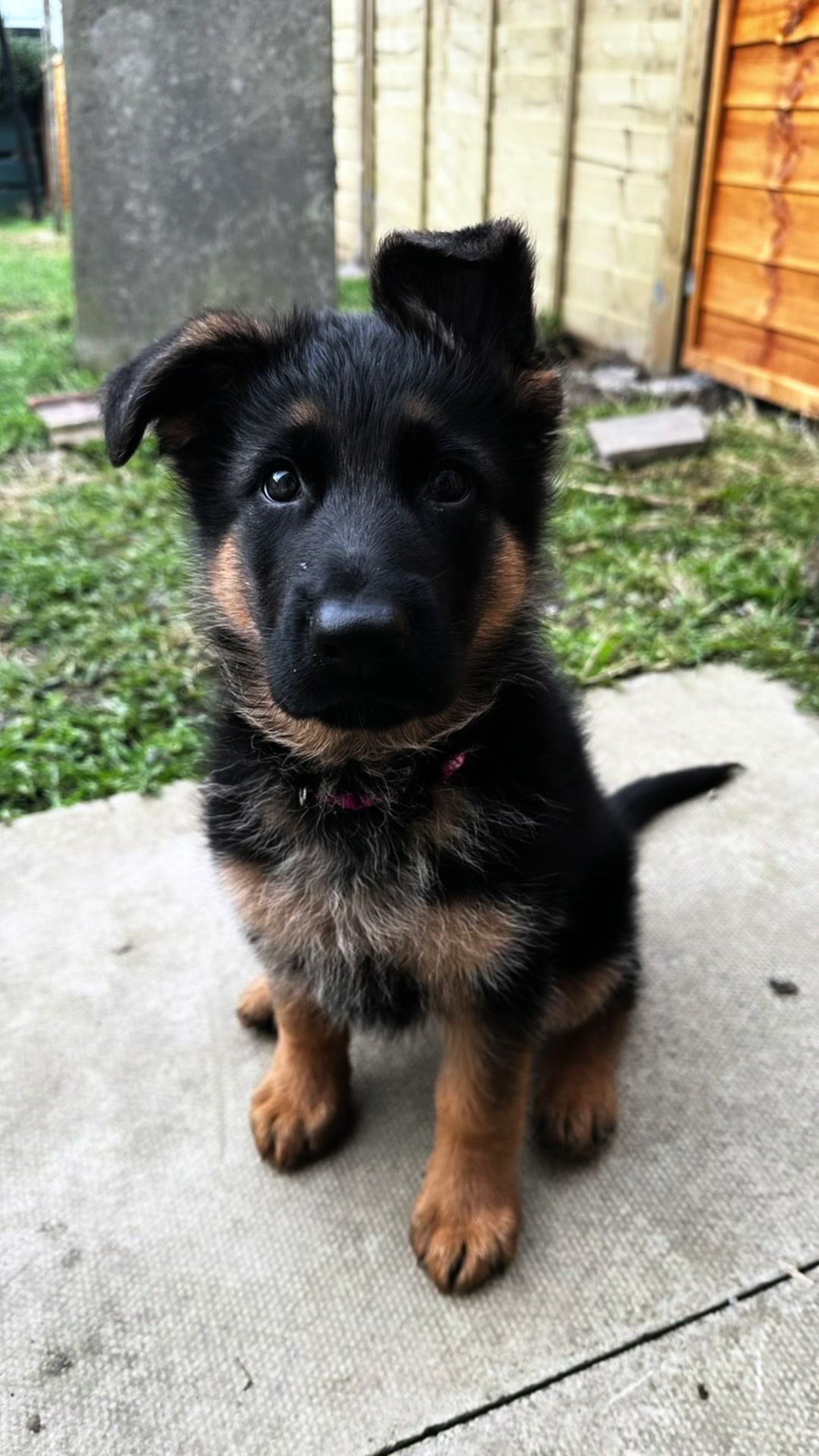 @Amy Buckingham