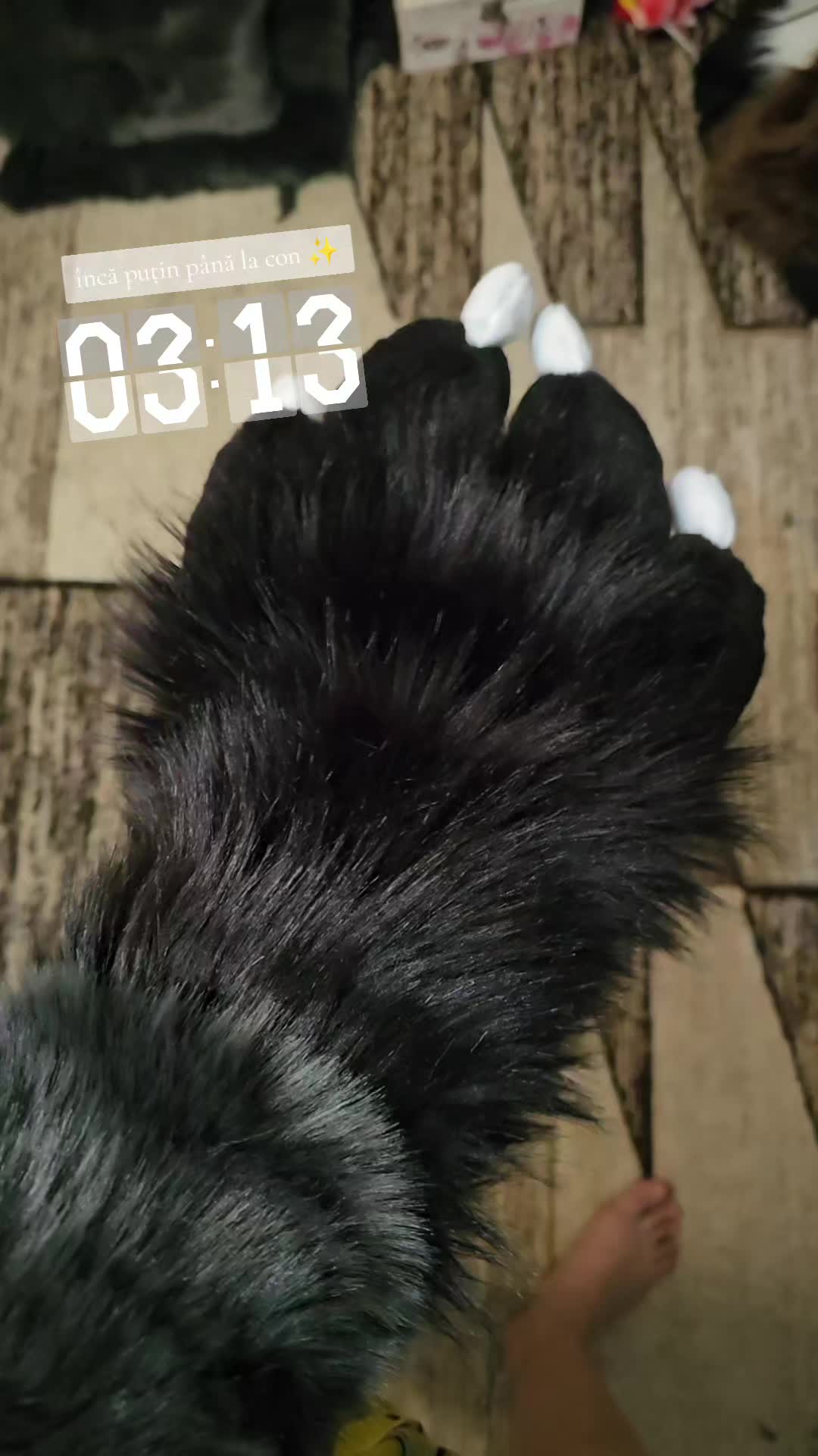 @🦌🇷🇴Yara_wolf🇷🇴🦌