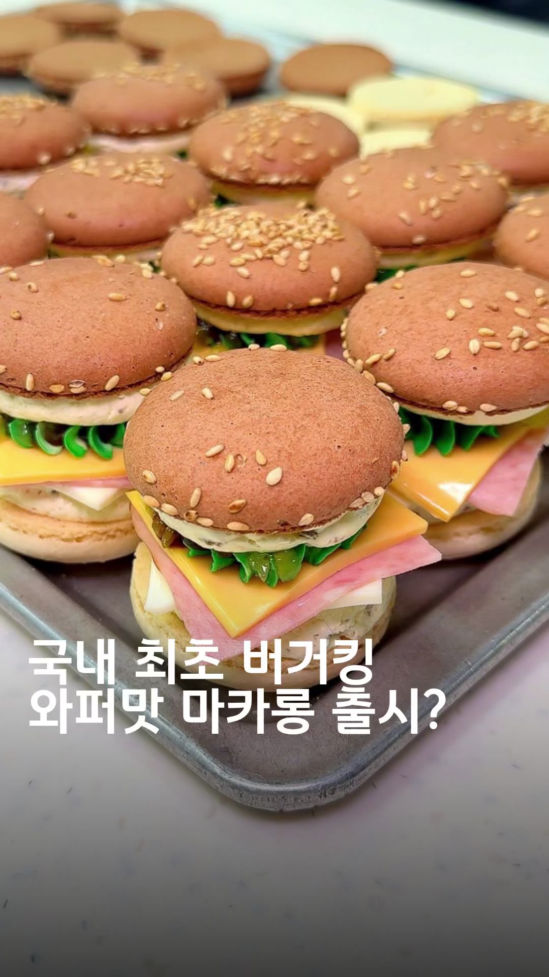 @먹회장