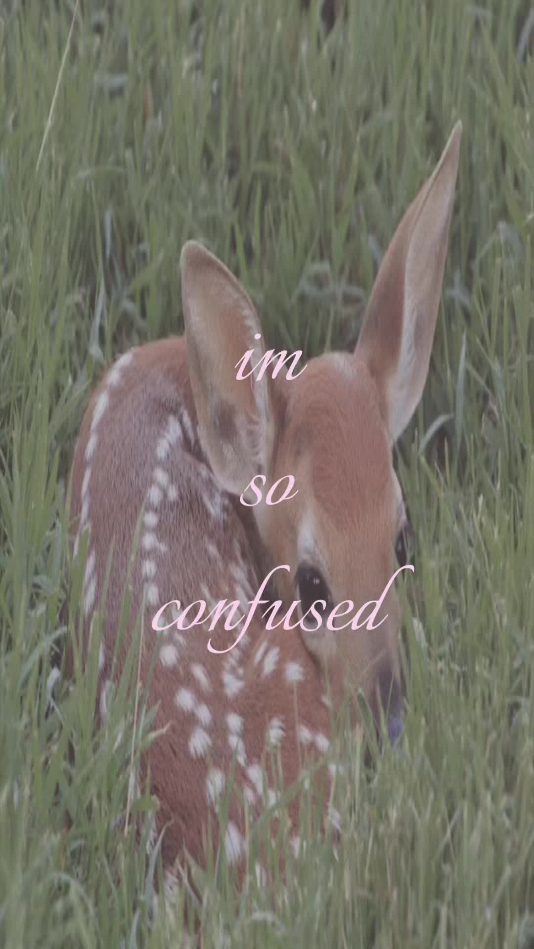 @upl4nd