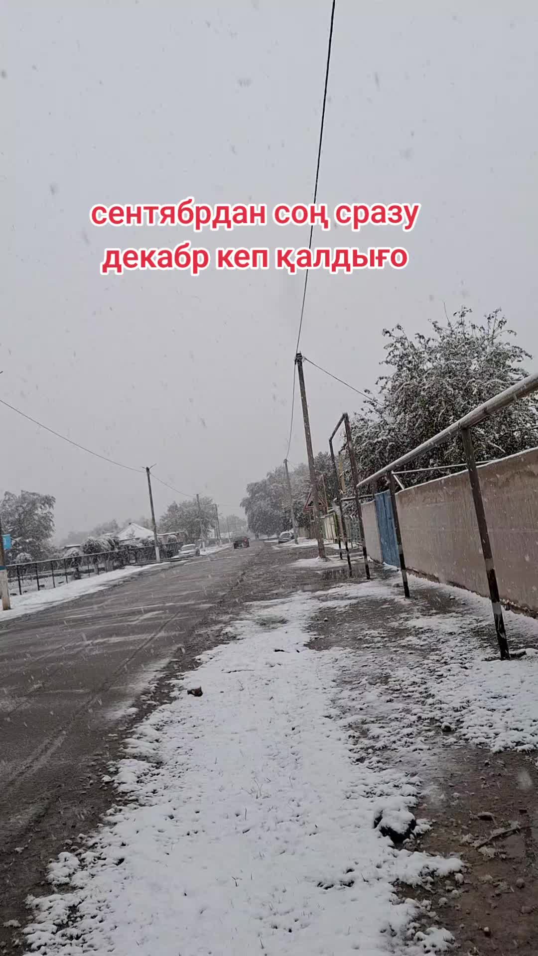 @Умирзакова Илья