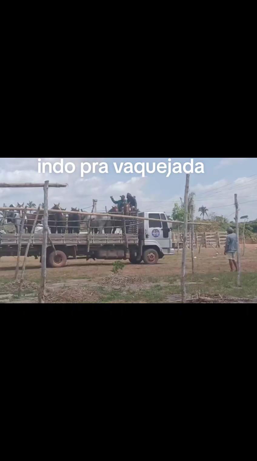 @Dalva Freitas