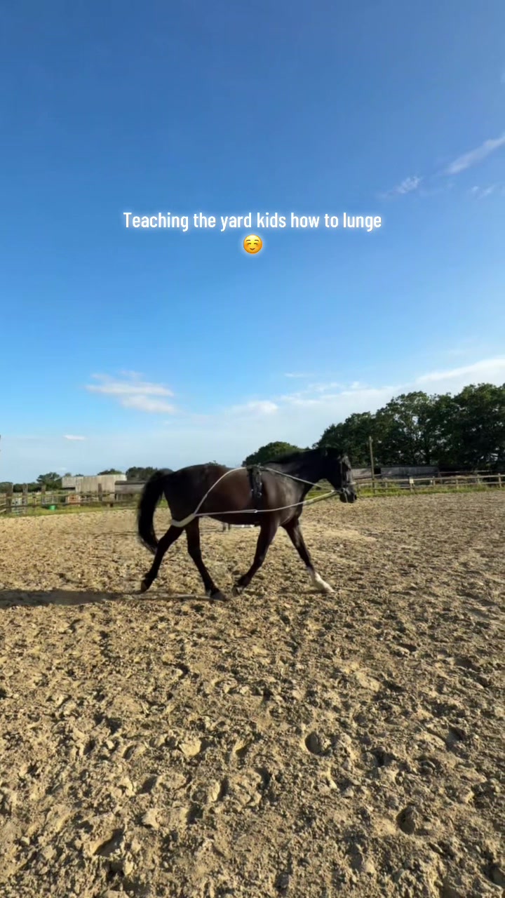 @Charlotte.Equestrian