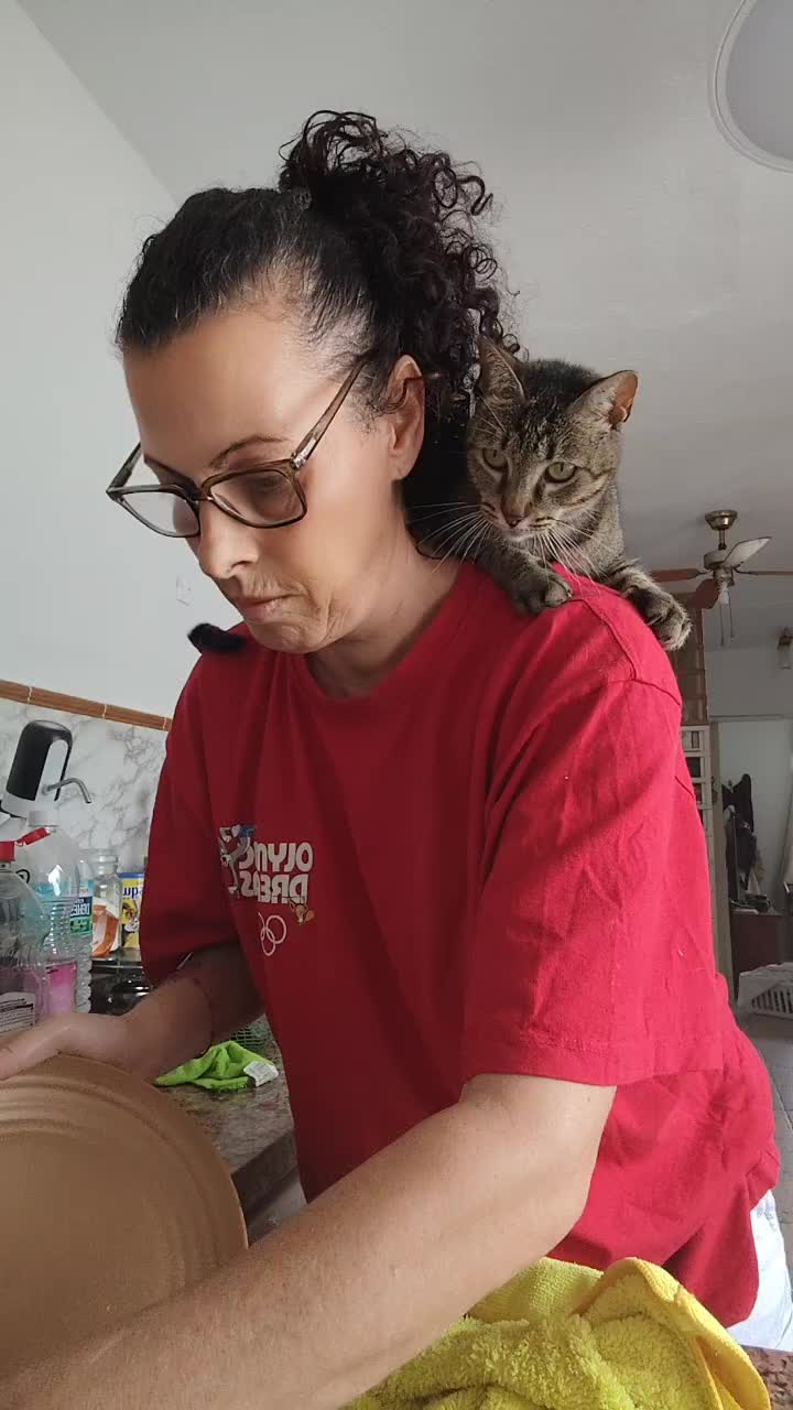 @Sra.Gato
