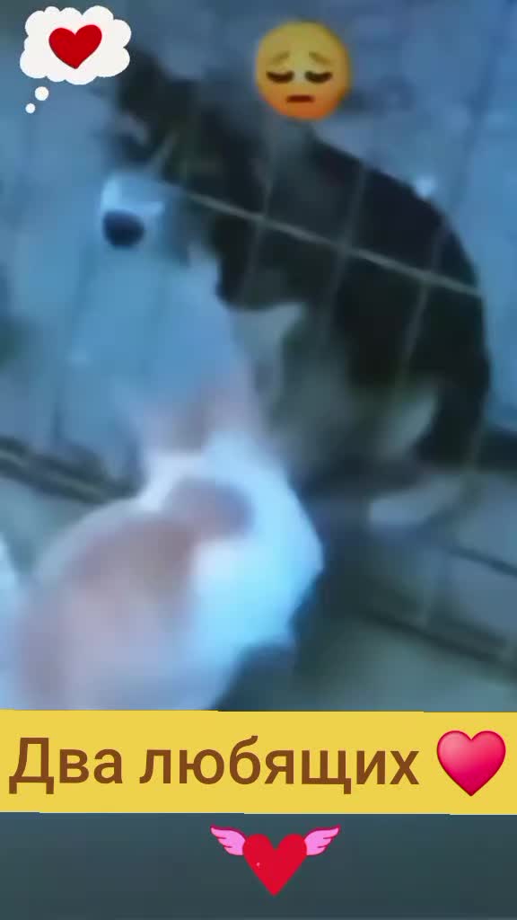 @S.М.