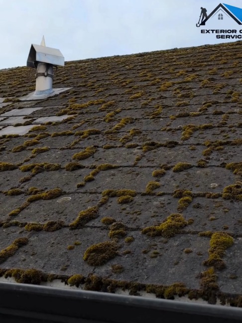 @Exterior Cleaning Services Ni
