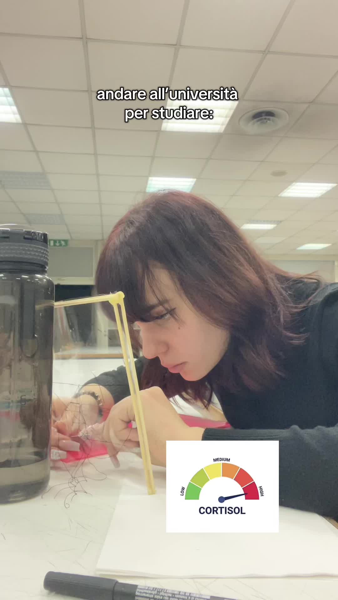 @Lisa🧸