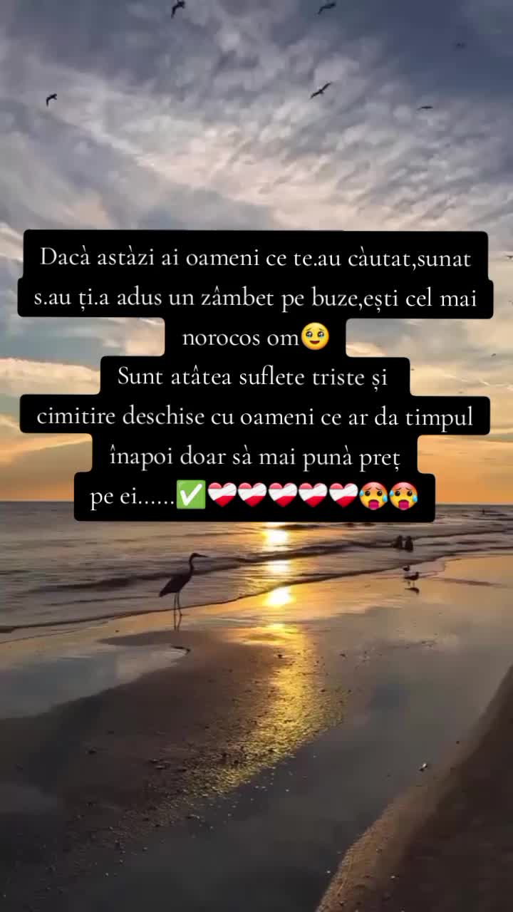 @Stoyan Andrey