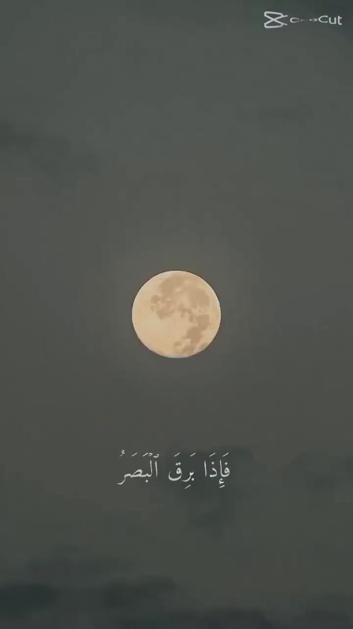 @🦅Basant | بسبوسة 🦅