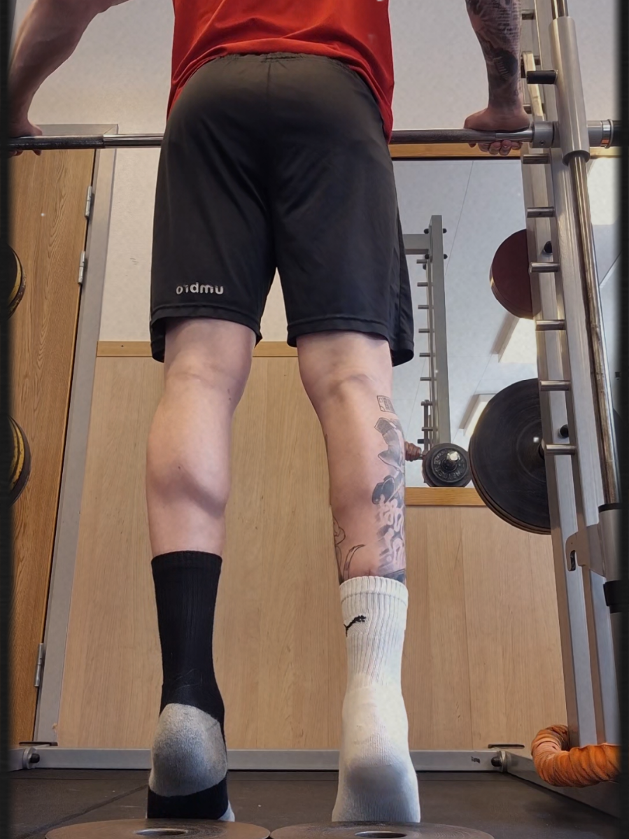 @FRANSTASTICHYBRID