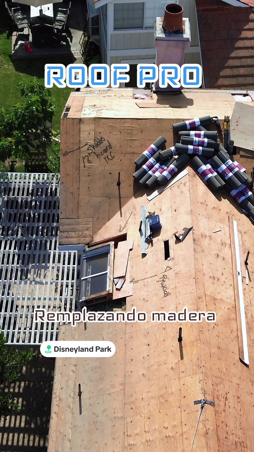 @" OSORIO "