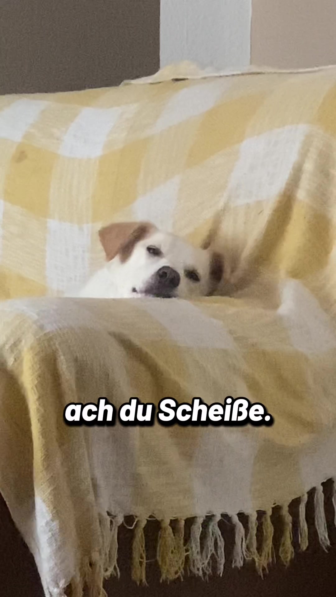 @Joschi
