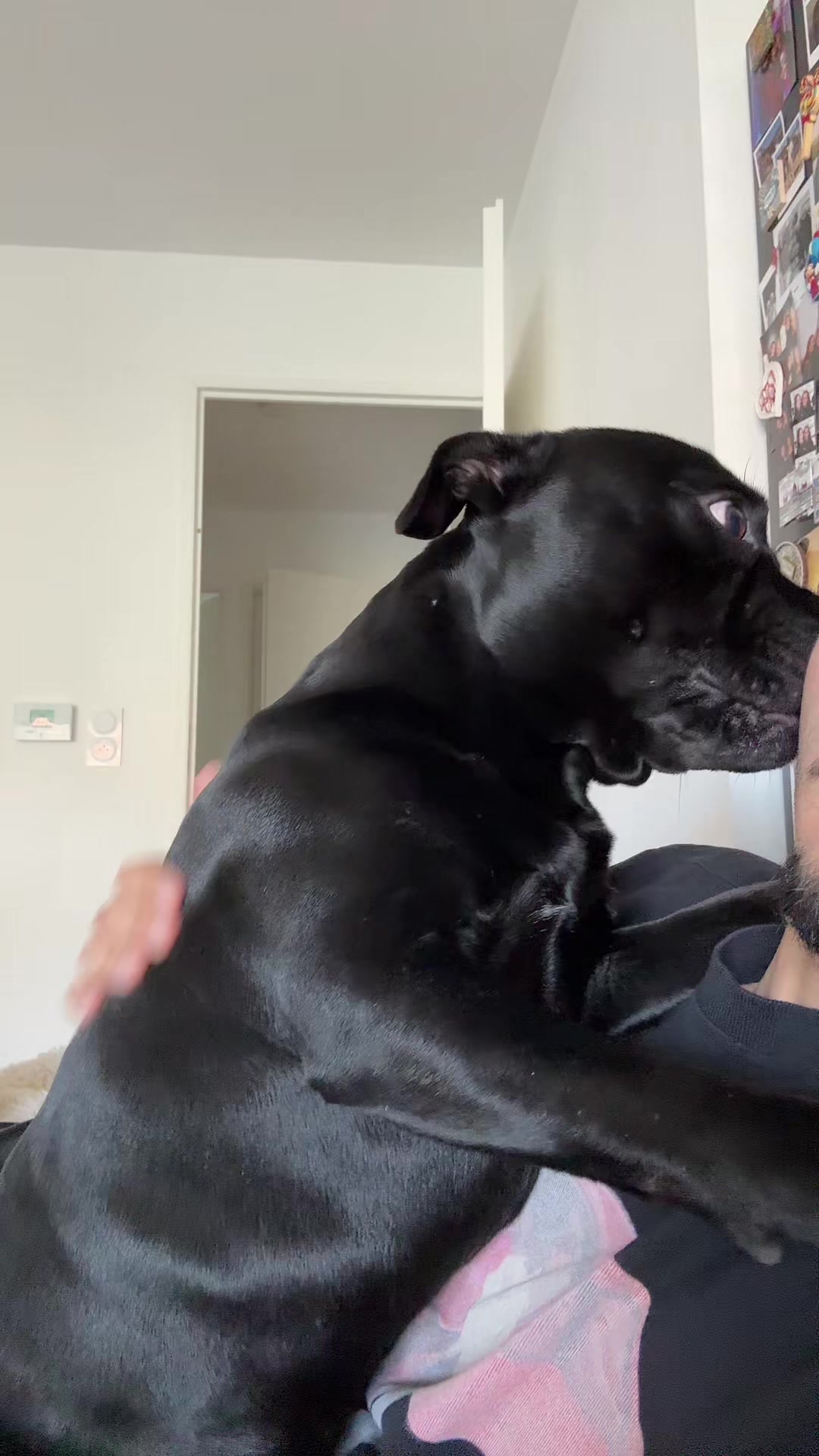 @staffie.young.tao