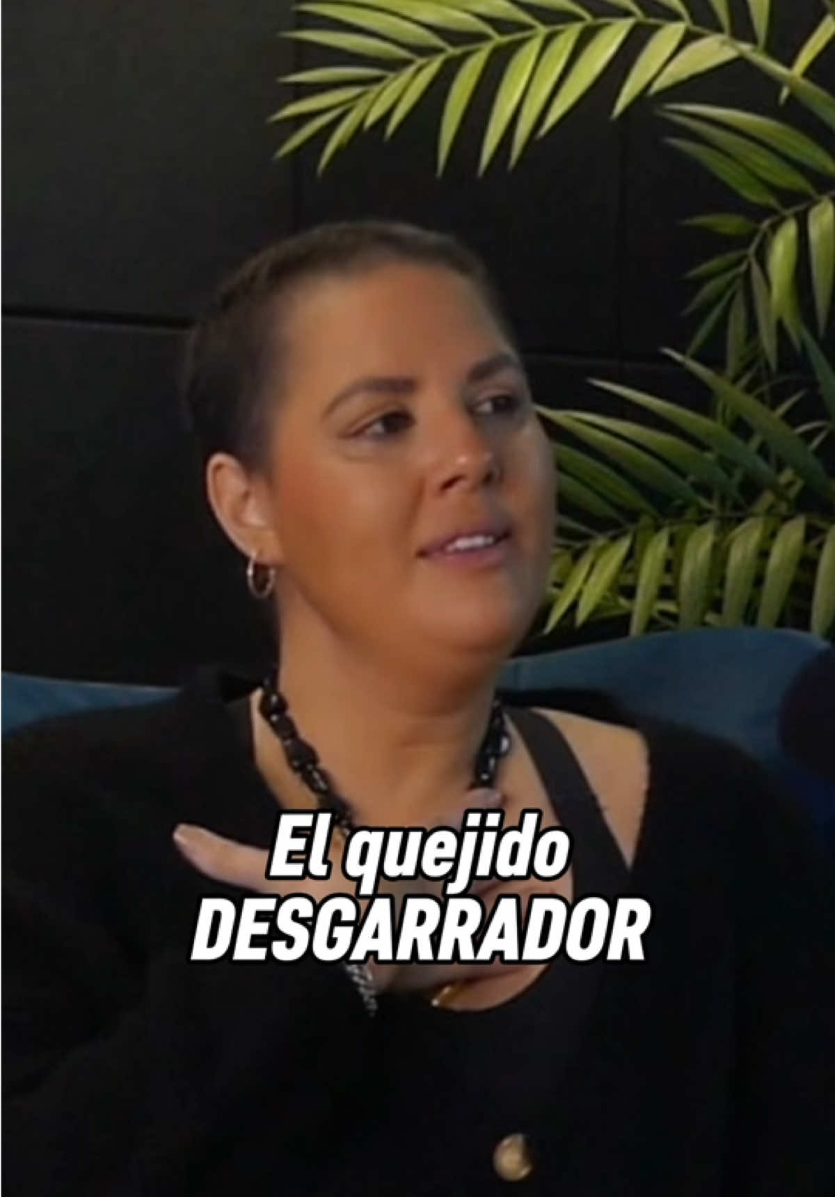 @zonabierta