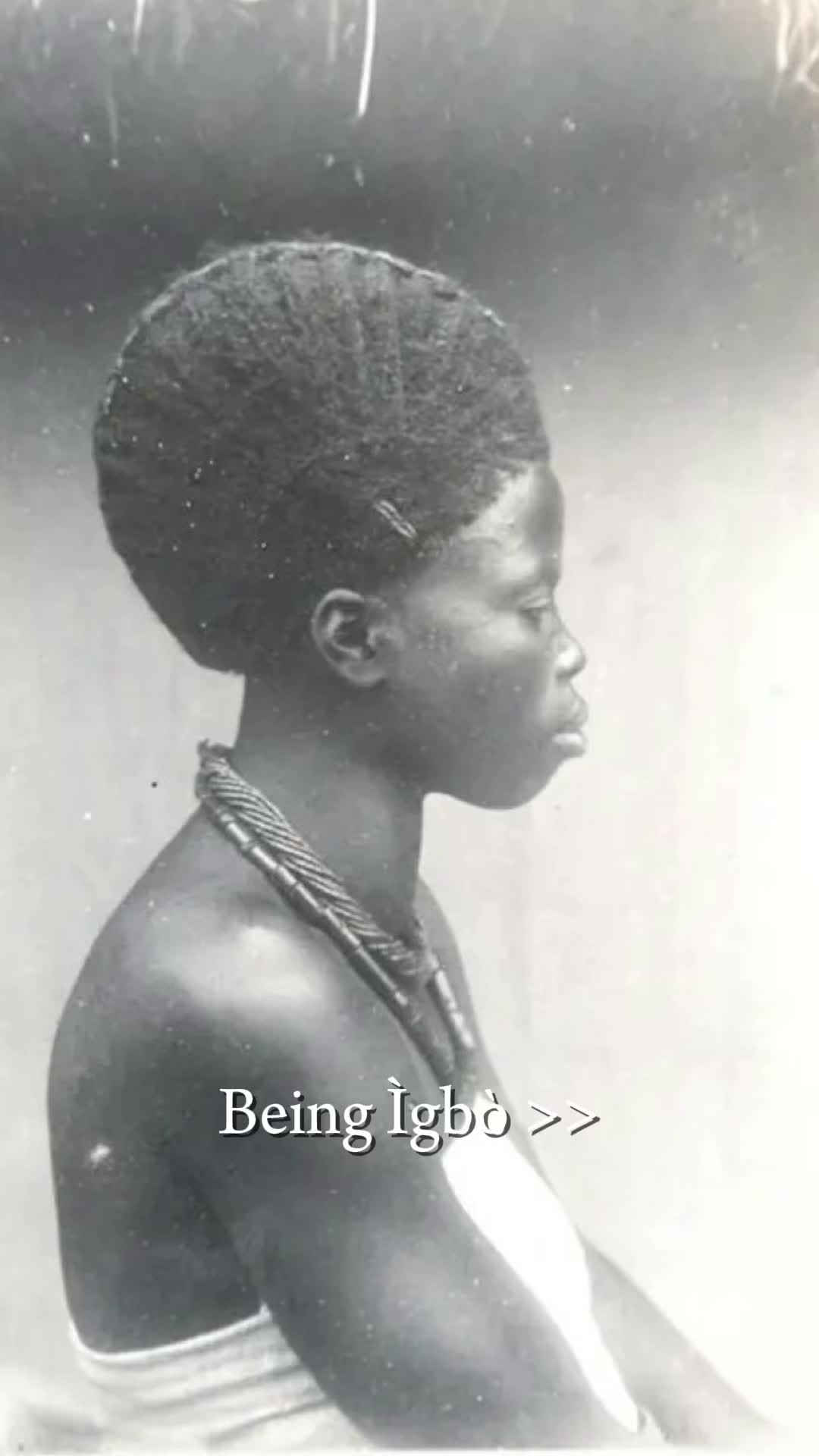 @&Igrave;gb&ograve;tic Vibes