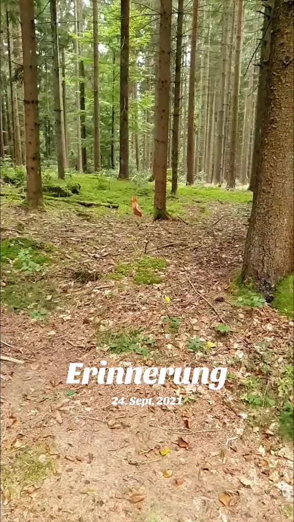 @Eva