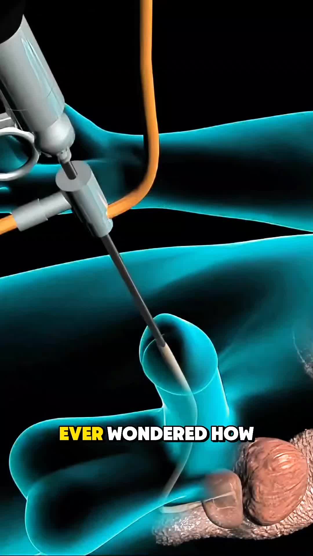 @InsideHumanLab