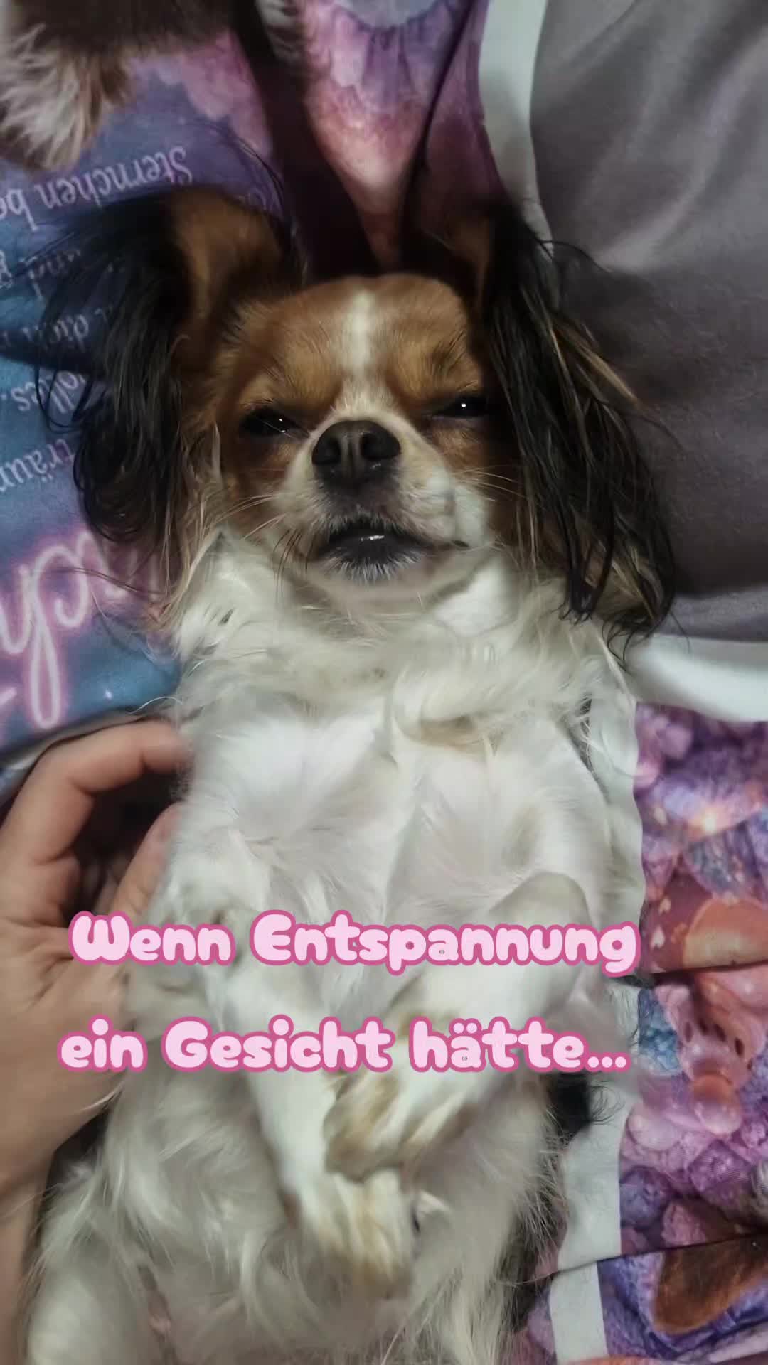 @🌸🐾꧁ 𝒮𝒶𝓃𝓃𝒾 ꧂🐾🌸