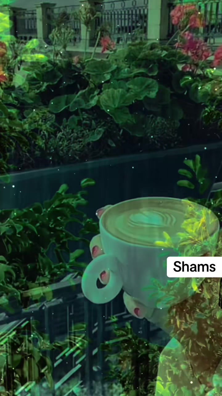 @Shams