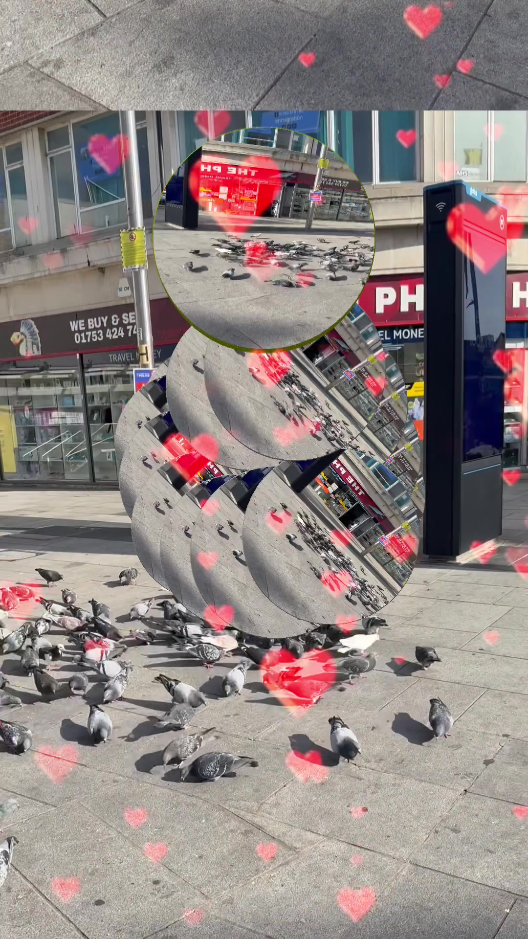 @Raja 𝙆𝙎𝙃𝙈𝙍𝙄 𝙐𝙆🇬🇧