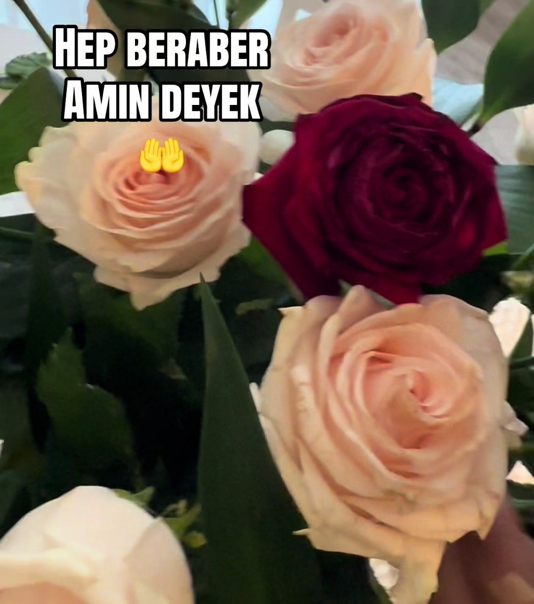 @꧁❈ 🤍 🇦🇿 𝓔𝓵𝔂𝓪 🇩🇪 🤍 ❈꧂