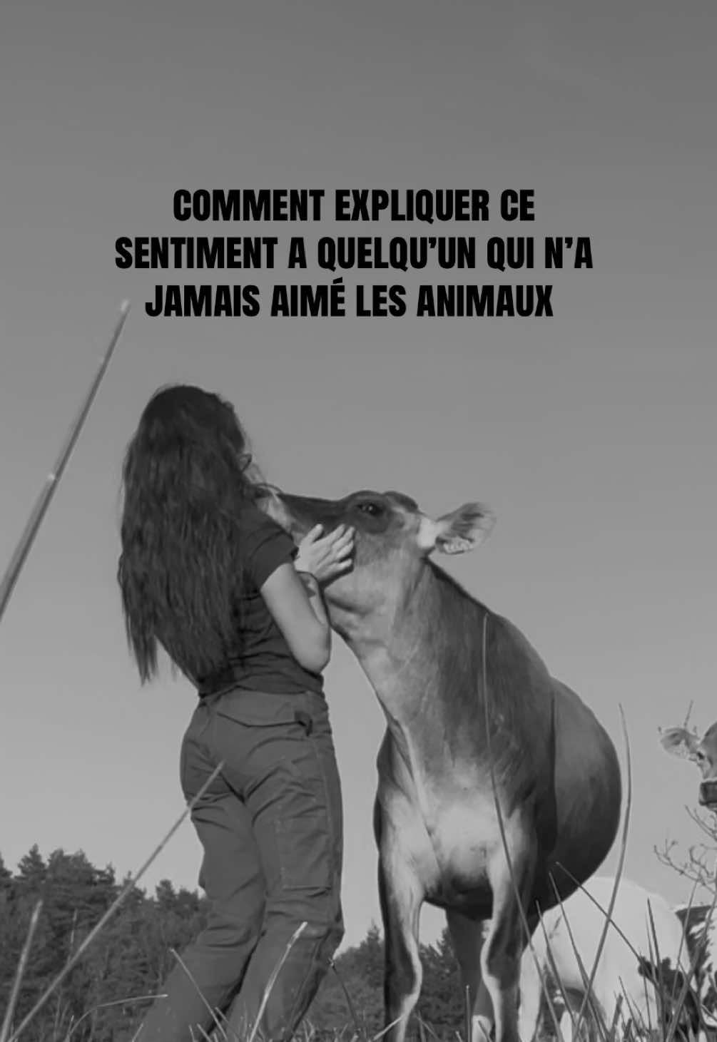 @L'