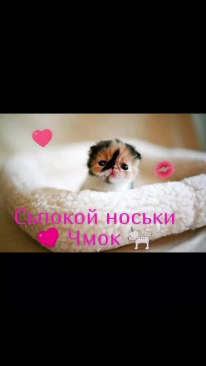 @кощик😛
