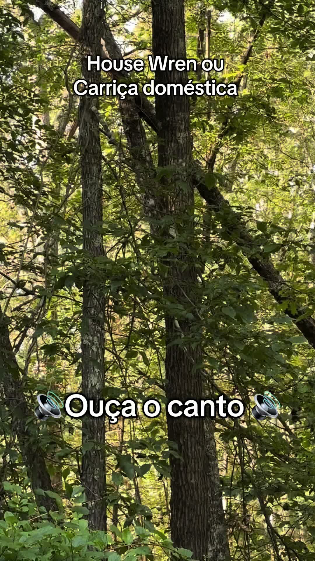@Fernando
