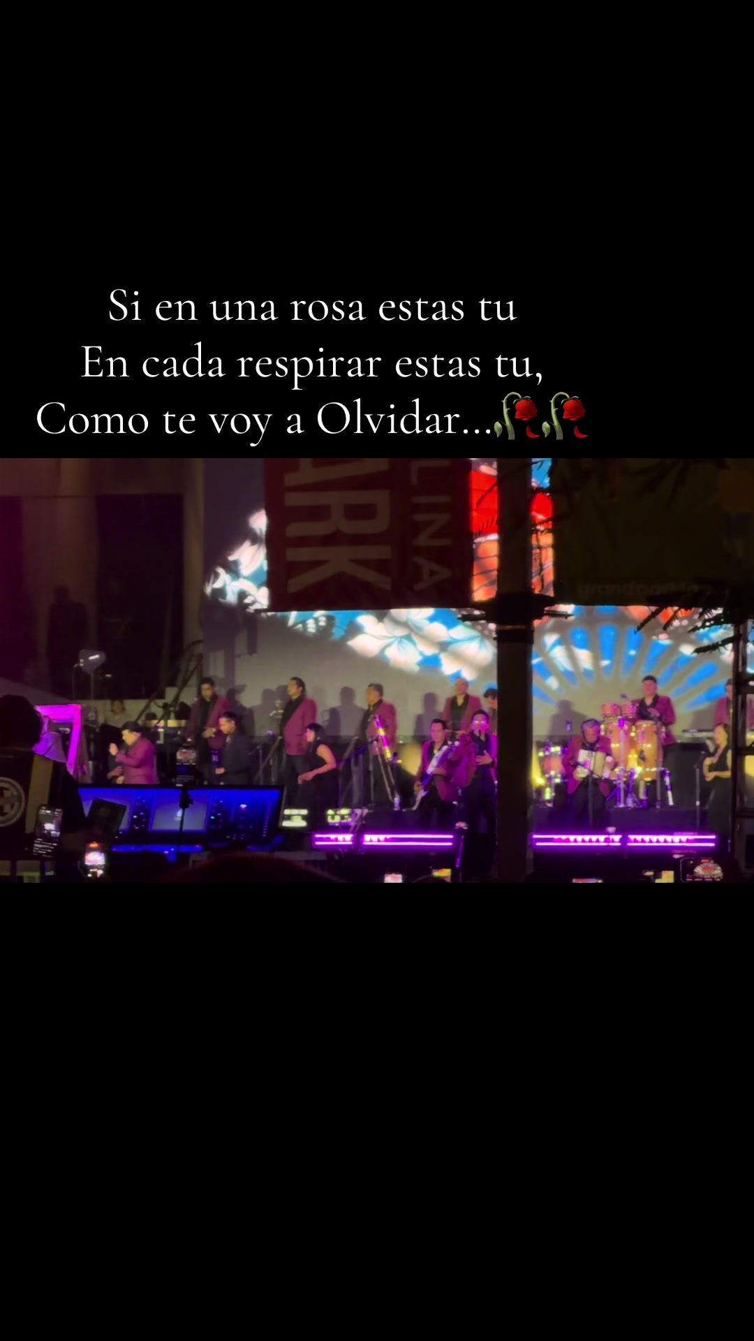 @Sandy Perez