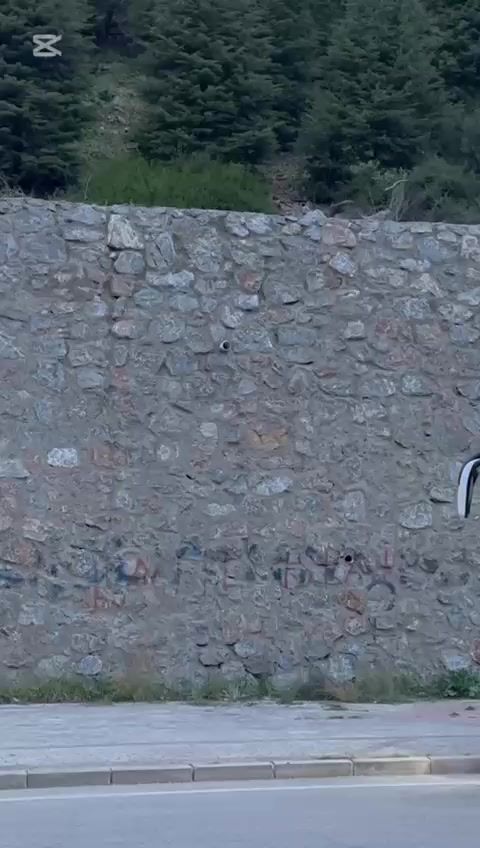 @SarıSezgin4134