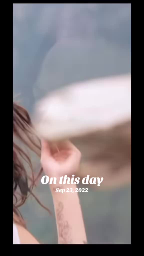 @dp_ny512