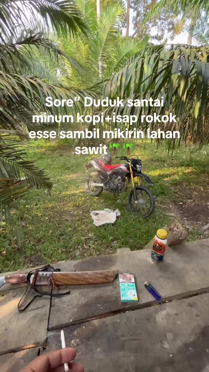 @Junai