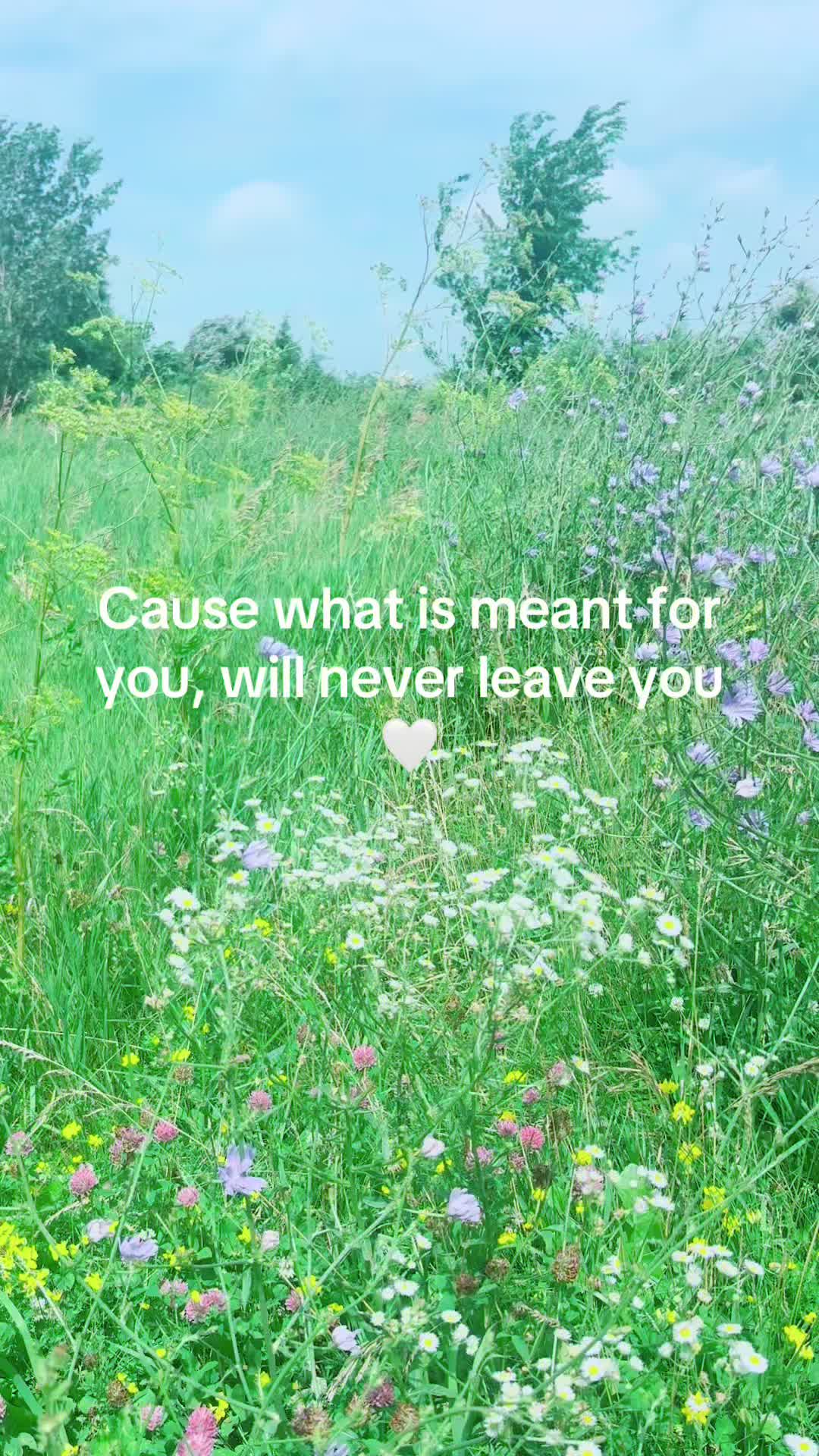 @Lex