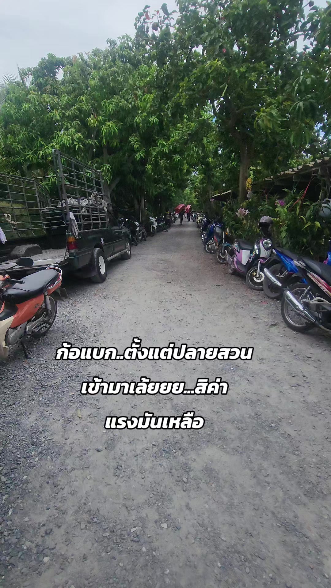 @Jan Somjen