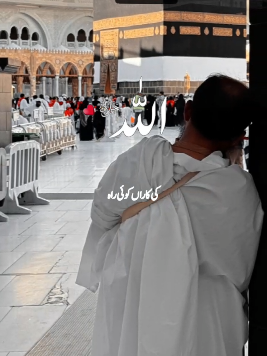 @Allah  hu akbar