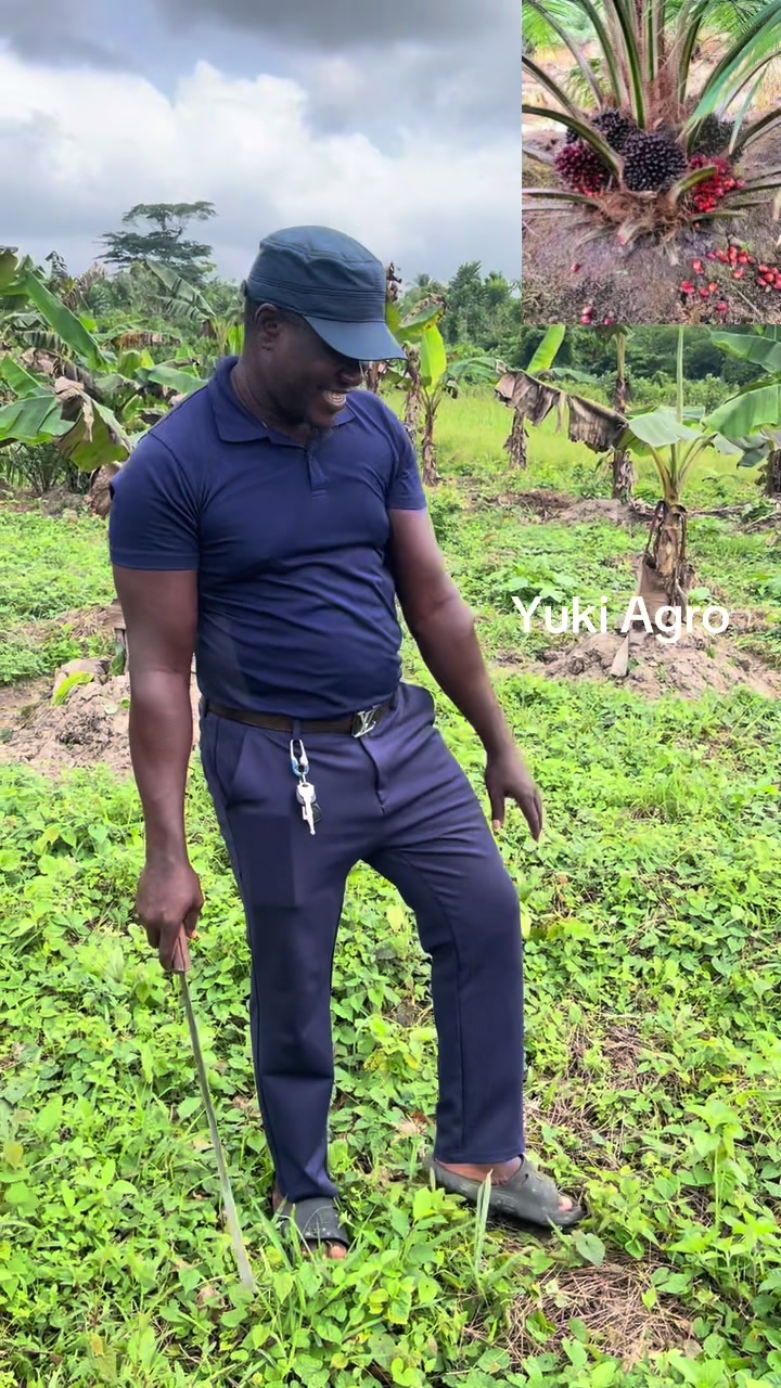@BabaObaTv @Yuki Agro limited